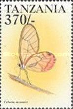 Clearwing (Cithaerias menander)