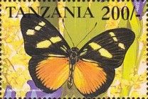 Euphaedra eusemoides