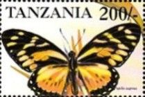 Papilio zagreus