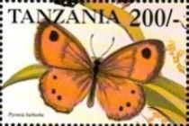 Pyronia bathseba