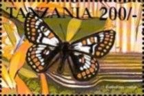 Euphydryas cynthia