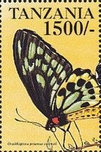 Ornithoptera priamus euphorion