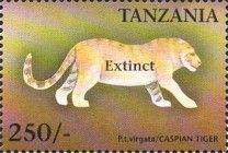 Caspian Tiger (Panthera tigris virgata)