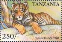 Tiger (Panthera tigris)