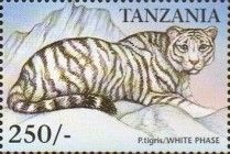 The tiger (Panthera tigris)