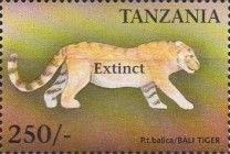 Bali tiger (Panthera tigris balica)