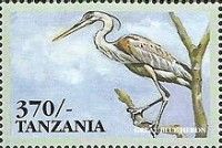 Great Blue Heron (Ardea herodias)