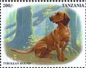 Tyrolean Hound