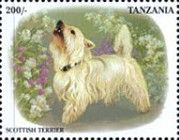 Scottish Terrier