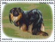 Pekingese