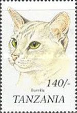 Burmilla