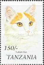 Turkish van
