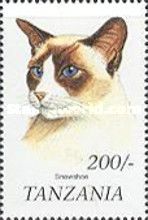 Snowshoe