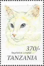 Seychellois longhair
