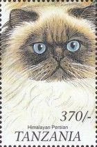 Himalayan Persian