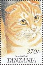 Scottish fold