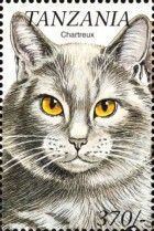 Chartreux