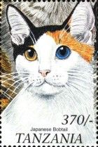 Japanese bobtail