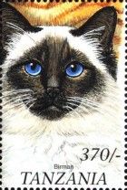 Birman