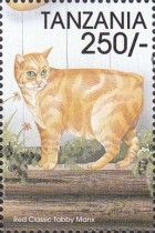 Red Classic Tabby