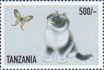 Black & White Kitten, Butterfly UL