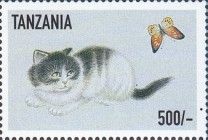 Black & White Kitten, Butterfly UR