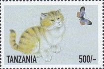 Black & Yellow Kitten, Butterfly UR
