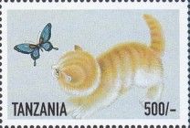 Yellow Kitten, Butterfly UL