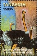 Ostriches (Tourism Promotion)