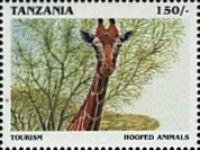 Hoofed animals