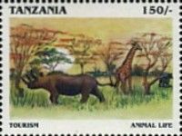 Animal Life