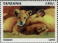 Lions