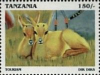 Dik Diks