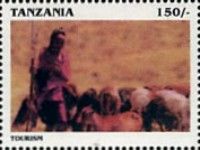 Herding animals