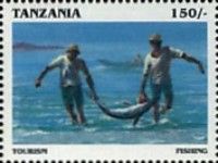 Fishing