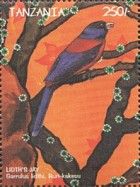 Lidth's Jay (Garrulus lidthi)