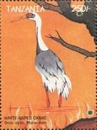 White-naped Crane (Grus vipio)