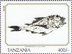 "Sea Life (Fish)"
