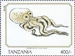 "Sea Life (Octopus)"
