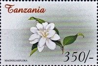Magnoliaeflora