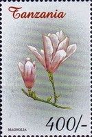 Magnoliaceae