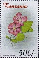 Clematis