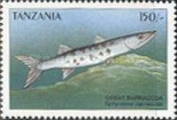 Sphyraena barracuda
