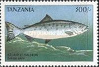 Salmo salar