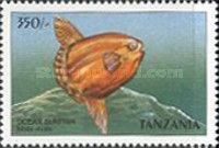Ocean Sunfish (Mola Mola)
