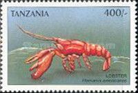 Homarus americanus