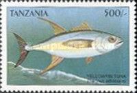 Thunnus albacares