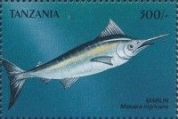 Macaira nigricans