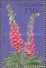 Digitalis x mertonensis