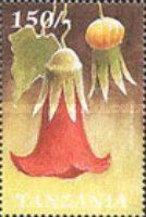 Canarina abyssinica